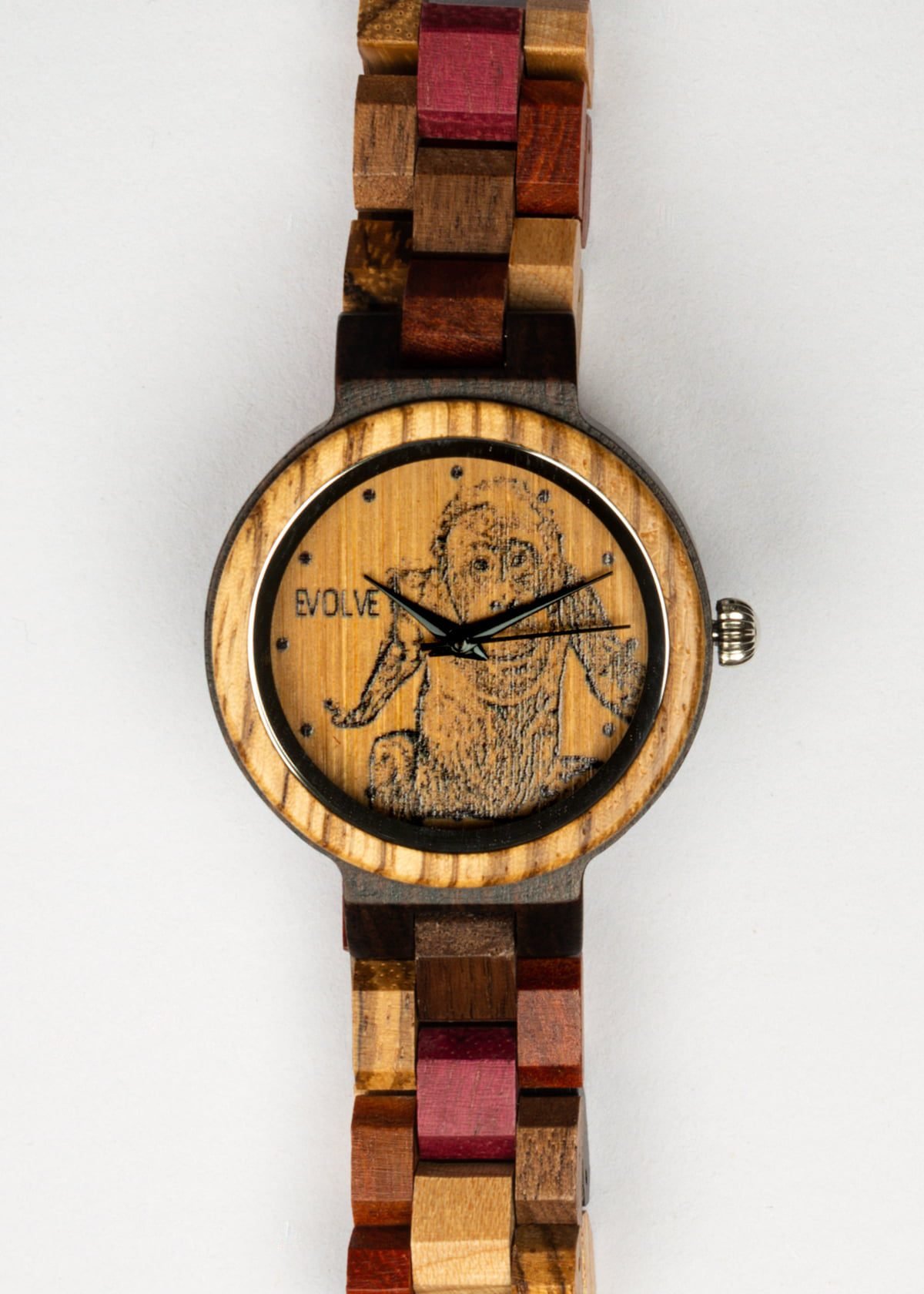 Wildlife Watch: Orangutan Portrait - Image 7