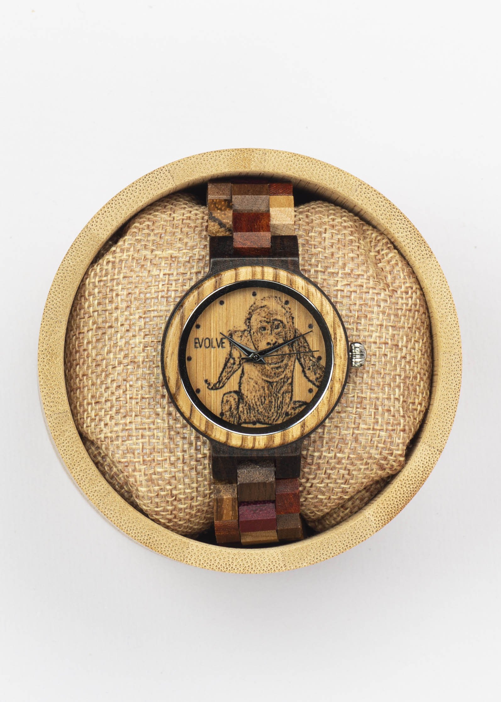 Wildlife Watch: Orangutan Portrait