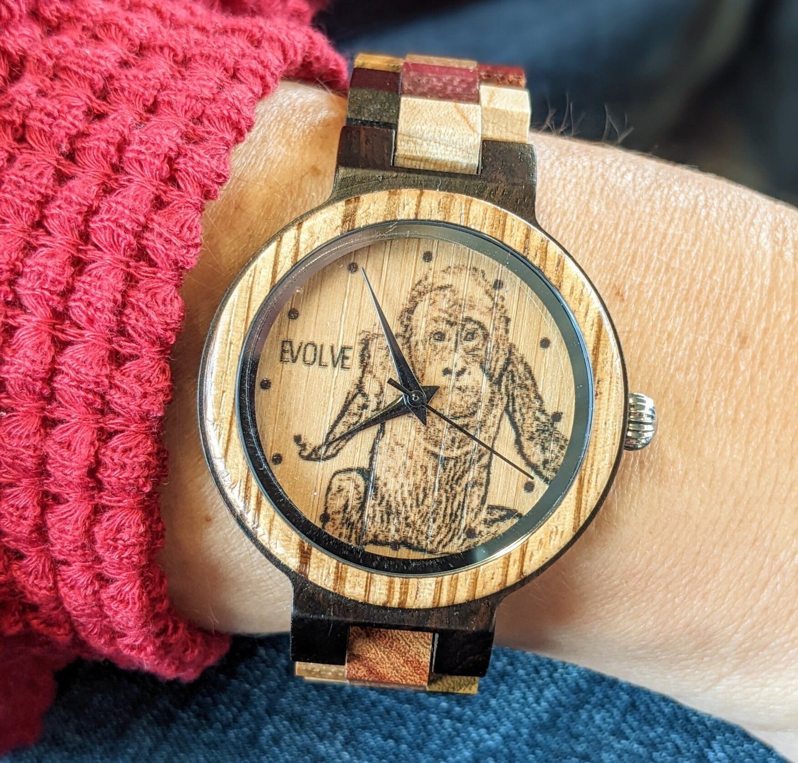 Wildlife Watch: Orangutan Portrait - Image 2