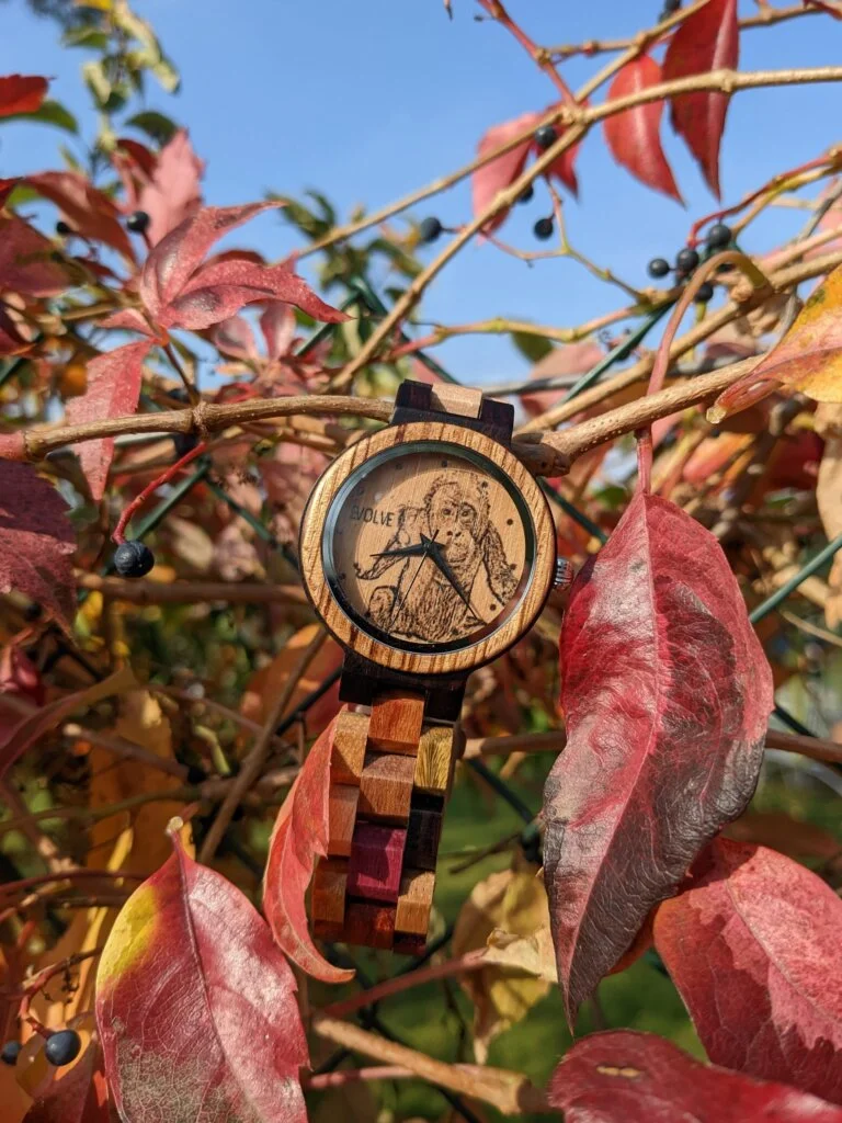 sustainable wooden watches